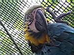 2005-02-16_jamaica_235.jpg