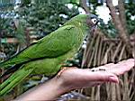 2005-02-16_jamaica_238.jpg