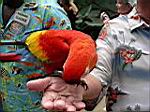 2005-02-16_jamaica_247.jpg
