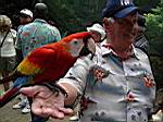 2005-02-16_jamaica_248.jpg