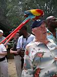 2005-02-16_jamaica_254.jpg