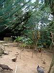 2005-02-16_jamaica_263.jpg