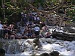 2005-02-16_jamaica_285.jpg