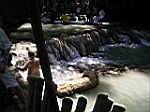2005-02-16_jamaica_321.jpg