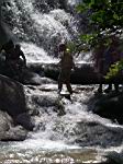 2005-02-16_jamaica_333.jpg