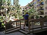 2005-02-17_beach-grand-cayman_361.jpg