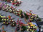 2005-02-20_arrival_460.jpg