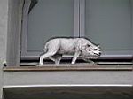 2005-05-28_los-angeles_02.jpg