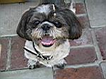 2005-05-30_los-angeles_11.jpg